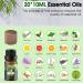 Copower Essential Oils Set | 20x10ML Aroma Diffuser Oils | Fragrance Oils for Humidifiers & Massage | Lavender Eucalyptus Frankincense & More - Buy Online on GoSupps.com