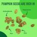 Organic Raw Pumpkin Seeds 64 oz (4 lb) | Non-GMO | Preservative-Free | Resealable Bag | Bulk Size | Premium Grade | 100% Natural - Buy Online on GoSupps.com
