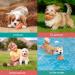 Nobleza Dog Ball - Natural Rubber Interactive Toy for Dental Care | Robust 10.3cm Dog Ball | Perfect for All Breeds - Buy Online on GoSupps.com