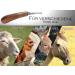 Professional Hoof Knife for Horses & Sheep - Ergonomic 2-Cutter Farrier Tool | Special Steel Hoof Care Knife Accessories - Buy Online on GoSupps.com