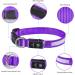 MASBRILL Light Up Dog Collar - USB Rechargeable LED Glow Collar | Waterproof Flashing Bright Purple Collar for Small, Medium, Large Dogs (M) - Buy Online on GoSupps.com