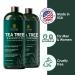Tea Tree Shampoo & Conditioner Set - Deep Cleansing Strengthening & Shine for Dry Scalp - 16 fl oz - For Men & Women - International Shipping Available - Buy Online on GoSupps.com