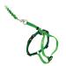 PetSafe Come with Me Kitty Harness and Bungee Leash Medium Lime Green ELECTRIC LIME/GREEN Medium