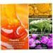 Nail Treatment 1PC Nail Treatment Nail Renewal Solution Toenails & Fingernails Nail Repairs Essential Oil Protects From Discoloration Brittle And Cracked Nail(12ML) - Buy Online on GoSupps.com