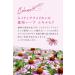Argital Echinacea Cr me 75ml - Natural Skin Soothing Cream for All Skin Types - International Shipping Available - Buy Online on GoSupps.com