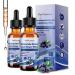 2 Pack NAD Supplements for Women & Men NAD Nicotinamide Riboside Resveratrol 900mg & Quercetin Niacin Collagen Biotin Liquid NAD Plus Supplement NR900 For Anti-Aging Skin Energy Longevity Focus Blueberry 2 Fl Oz (Pack