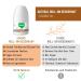 Siveno All Natural Deodorant Roll-On | Aluminum Free Deodorant for Women & Men | Organic Vegan | Fresh Non Staining Non Irritating | Cruelty Free Non Toxic Paraben Free | Coconut Oil Pack of 1 Coconut 1.76 Fl Oz (Pack of 1) - Buy Online on GoSupps.com
