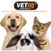 VetIQ Skin & Coat 250ml Promotes Healthy Skin & Coat with Omega 3 Oil Dog Grooming Supplement Helps Reduce Shedding Dog & Cat Supplements For Dry Itchy Skin - Buy Online on GoSupps.com