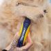 Professional Dog Brush for Grooming & Depilation | Blue Bundle for All Dog & Cat Sizes - Buy Online on GoSupps.com