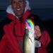 Lesunbak Drop Fishing Lights - Waterproof LED Bait Light for Night Fishing | Eye Shape Underwater Lure to Attract Perch - Buy Online on GoSupps.com