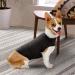 Zongha Anti-Stress Vest for Dogs | Panic Relief Jacket for Anxious Dogs | Medical Dog Coat in Gray (Small) - Buy Online on GoSupps.com