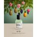 EYFEL Perfumes for Women W33 INSPIRED BY RUSH 2 Eau de Parfum Spray Women's Fragrances EDP 50 ml / 1.76 FL. OZ. - Buy Online on GoSupps.com