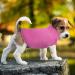 Pink Dog Fleece Vest with Turtleneck for Small Medium Dogs - Winter Jacket with Leash Hole - Buy Online on GoSupps.com