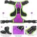 Phoepet 2019 Reflective Dog Harness | Adjustable Vest with Training Handle & Metal Hooks | Size S in Violet - Buy Online on GoSupps.com
