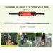 Pecute Jogging Leash for Dogs - Elastic Running Leash with Belly Belt for Large & Medium Dogs Includes Belt Bag Supports Up to 100kg - Perfect for Running & Jogging - Buy Online on GoSupps.com