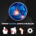 Sport Roll-On 2FL OZ - Fast Acting Topical Pain Reliever for Muscles & Joints Cooling Massage Roll On - 2 Pack - Buy Online on GoSupps.com