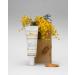 Bielenda Dr Medica Overpigmentation Soothing Cream with SPF 50 for the day 50 ml - Buy Online on GoSupps.com