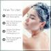 All-Natural Vegan Shampoo Bar - Moisturizing Aloe Vera Solid Hair Care (3 Pack) - Palm Oil Free Unisex - Buy Online on GoSupps.com