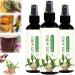 Brazilian Wood Plant Food Lucky Bamboo Liquid Fertilizer Lucky Brazilian Wood Houseplant Fertilizer Brazilian Wood Flowering Special Nutrient Solution (3pcs)