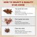 52USA Star Anise Seeds 4oz - Premium Chinese Anis Estrella Spice Pods - Dried Whole Star Anise Seed Bulk Pack - 4 Ounce - Buy Online on GoSupps.com