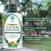 Premium Liquid Calcium Magnesium Citrate - Natural Bone Support Supplement with D3 & High Absorption - 32oz - Buy Online on GoSupps.com