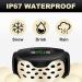 Bark Collar for Dogs - Vibration & Beep Modes - Rechargeable & Waterproof - Humane Training Collar for Small Medium Large Breeds - Buy Online on GoSupps.com