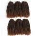 8 Inch Short Passion Twist Hair 6 Bundles Kinky Curly Crochet Hair - Black Women Crochet Braids | 1B/30 Color - Buy Online on GoSupps.com