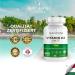 Buy Bandini Vitamin K2 MK-7 200 g - Vegan 400 Tablets | Premium Quality K2Vital Pure for Bones & Joints | High Dose GVO-Free No Additives - Buy Online on GoSupps.com