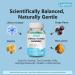 Lithium Orotate 5mg Gummies for Mood Support & Stress Management - Vegan Sugar-Free Non-GMO Gluten Free Grape Flavor 60 60 Count (Pack of 1) - Buy Online on GoSupps.com