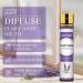 Aoruilia 10ml Clary Sage Essential Oil 100% Pure Natural Clary Sage Oils for Diffusers for Home Aromatherapy Calming Massage Bath Yoga DIY Perfume & Candles Clary Sage 10 ml (Pack of 1) - Buy Online on GoSupps.com