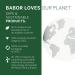 BABOR Cleanformance Awakening Eye Cream with Hyaluronic Acid - Dark Circles, Puffy Eyes & Bags - Clean Beauty, Vegan - Buy Online on GoSupps.com