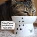 Necoichi Raised Cat Food Bowl - Backflow Prevention, Stress-Free Design, Dishwasher & Microwave Safe - Japan's No.1 Seller - Buy Online on GoSupps.com