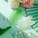 Jade Stone Guasha Comb Set for Head Massage and Therapy - 2 Pieces - Buy Online on GoSupps.com