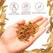 Dried Mealworms 1kg - Nutrient-Rich Wild Bird & Hedgehog Feed | Perfect for Rodents Reptiles Fish & Turtles - Buy Online on GoSupps.com
