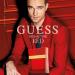Guess Seductive Red Men/Homme Eau de Toilette Cologne Spray For Men 1.7 Fl. Oz. Eau de Toilette 1.7 Fl Oz (Pack of 1) - Buy Online on GoSupps.com