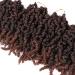 Wigenius Ombre Brown Curly Spring Twist Crochet Hair - 6 Packs 10 Inch Short Wave Pre-Twisted Synthetic Braids (1B/30 T30) - Passion Twist Hair Extensions - Buy Online on GoSupps.com