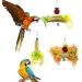 Bird Parrots Shredding Toys - Foraging & Chewing Accessories for Lovebird, Cockatiel, Conure, African Grey - Hanging Loofah & Cage Shredder Toys - Buy Online on GoSupps.com