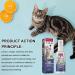 Segminismart Scratch-Resistant Spray - Anti-Scratch Protection for Cats & Dogs - 50ml | Safe for Furniture & Home - Buy Online on GoSupps.com