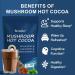 Mushroom Coffee + Hot Cocoa Set - Daytime Energy & Nighttime Sleep Support with Adaptogenic Mushrooms Melatonin - 50 Servings Combo - Buy Online on GoSupps.com