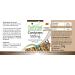 Fairvital | Cordyceps 500mg VEGAN - Highly dosed - 90 capsules - Cordyceps sinensis - caterpillar mushroom - Buy Online on GoSupps.com