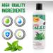SPA REDI Callus Remover Gel - Mint & Eucalyptus 12 Oz - Professional Foot Care for Toughest Calluses - Smooths Dry Cracked Heels - Buy Online on GoSupps.com