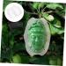 OFFSCH Fruits Forming Mould Vegetable Growing Ginseng Fruit Shaping Tool Melon Shaping Novel Shaping Small - Buy Online on GoSupps.com