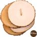 Wilson Natural Basswood Round 9-12 Inches - Set of 4 Pieces - Buy Online on GoSupps.com