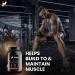 Kenko Essentials K-Builder Premium Protein Blend - Vanilla | Best International Shipping for Health & Fitness - Buy Online on GoSupps.com