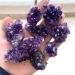 Natural Crystal Rough Crystal 1PC Natural Raw Amethyst Quartz Purple Crystal Cluster Stones Specimen Home Decoration Crafts Decoration Ornament (Color : 1pc Size : 20-30g) 20-30g 1pc - Buy Online on GoSupps.com