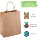 135pcs Brown Paper Bags with Handles Assorted Sizes Gift Bags Bulk Kraft Paper Bags for Small Business Shopping Bags Retail Bags Party Bags Merchandise Bags Favor Bags - Buy Online on GoSupps.com