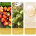  XIAOXIAOYU XIAOXIAOYU Hair Growth Shampoo Bar Anti-Hair Loss Shampoo Bar - Softens Smoothes and Adds Shine - Moisturizing Conditioning Bar - Buy Online on GoSupps.com