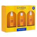GYADA COSMETICS GYADA COSMETICS SUN & GO BOX Set consisting of shampoo sun oil and SPF10 heat-protective liquid protects against sun chlorine wind and salt with plant proteins 3 x 100 ml