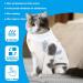 Wllhyf Recovery Suit for Cats - Breathable One-Piece Full Body Clothing for Kittens | Anti-Lick Protection Post-Surgery After Spay & Neuter | Large - Buy Online on GoSupps.com