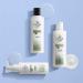 Nioxin Scalp Relief System | Soothes Dry, Itchy Scalp | Paraben & Sulfate Free Shampoo - 6.7 fl oz - Buy Online on GoSupps.com